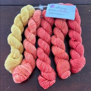 Osborn Fiber Studio Woolpaca Gradient 5 Set